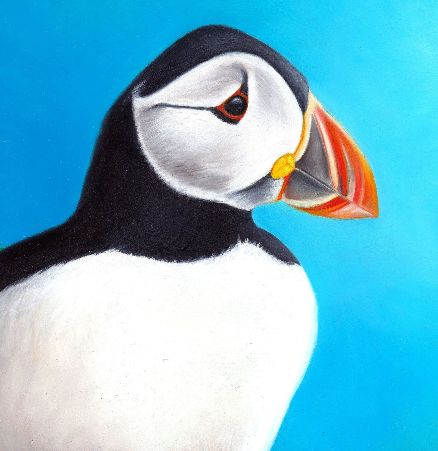 Original Oil Pastel Puffin Painting