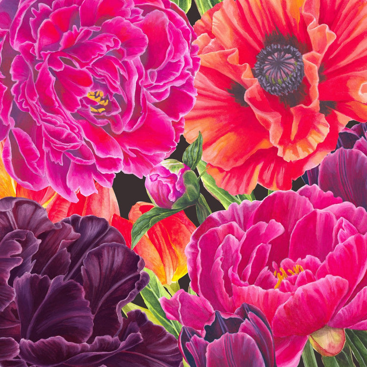 Close up brightly coloured peonies, tulip and poppy flowers against a dark background