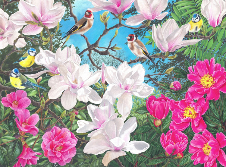 Garden scene with large magnolia tree branch and flowers with goldfinch and blue tits among the flowers with camellias and peonies