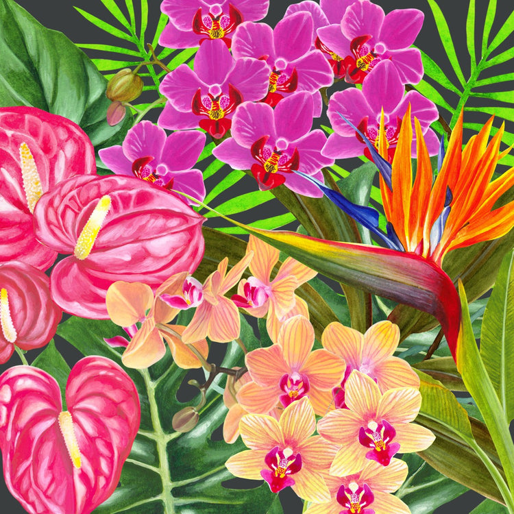 Brightly coloured tropical flowers, orchids, anthuriums and birds of paradise flowers, with tropical plants against a dark background
