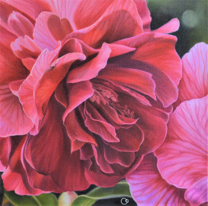 Anticipation Camellia Floral Oil Painting