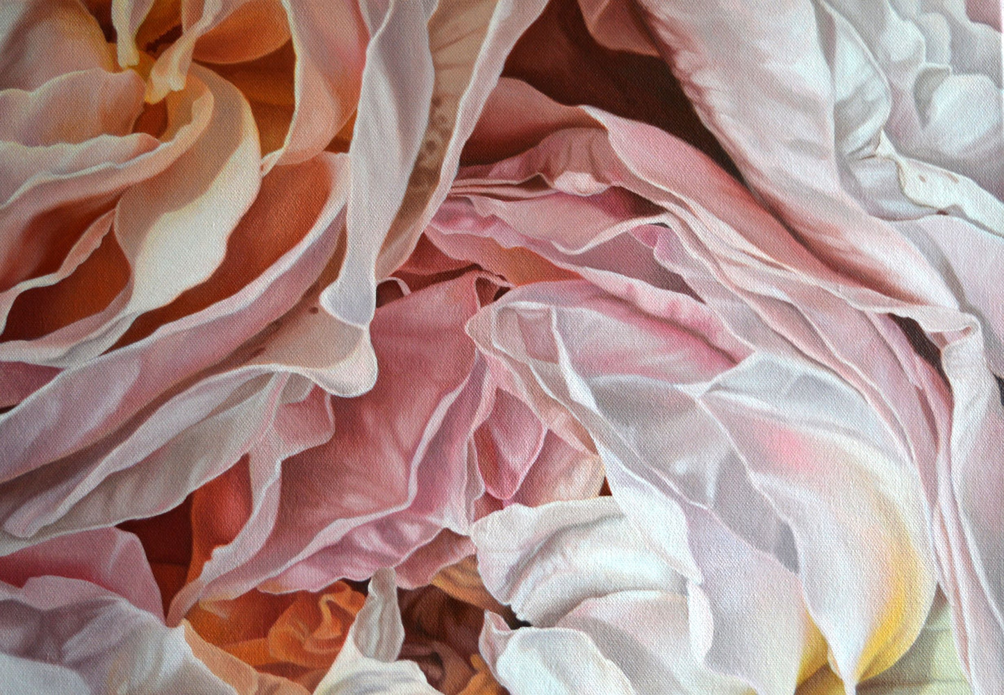 Inspiration Original Oil on Canvas Rose Painting