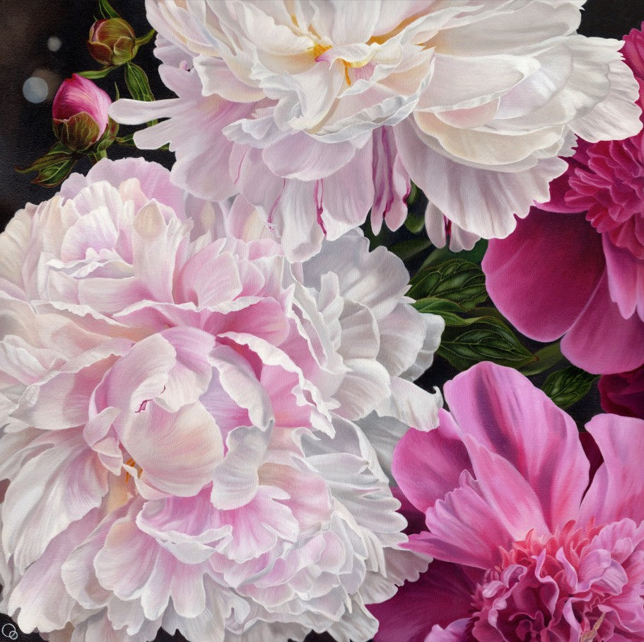 Fleeting Moment Original Oil on Canvas Peonies Painting